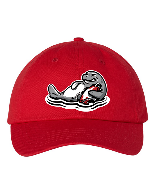 Big Buoys Bio-Washed Classic Dad Hat